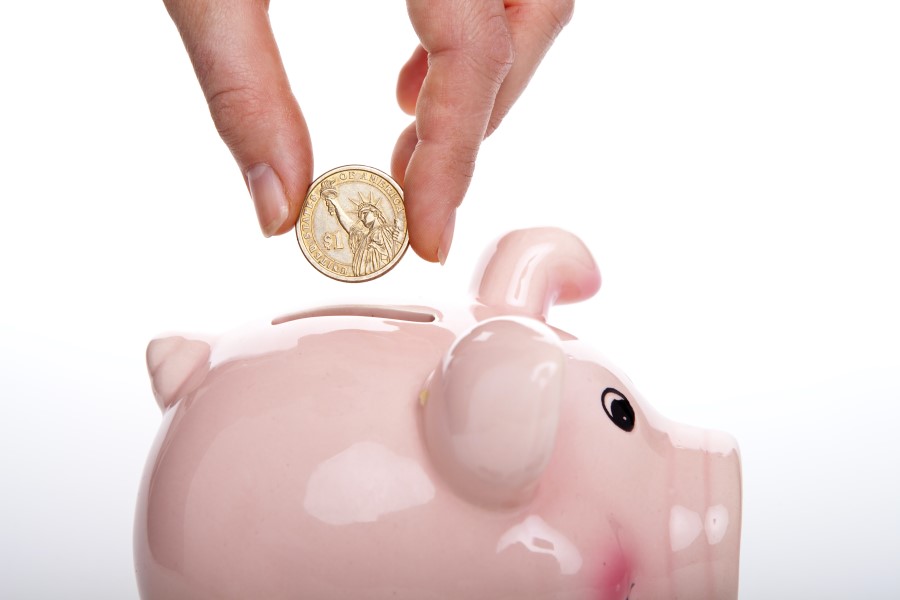 Picture of a piggy bank to represent savings.